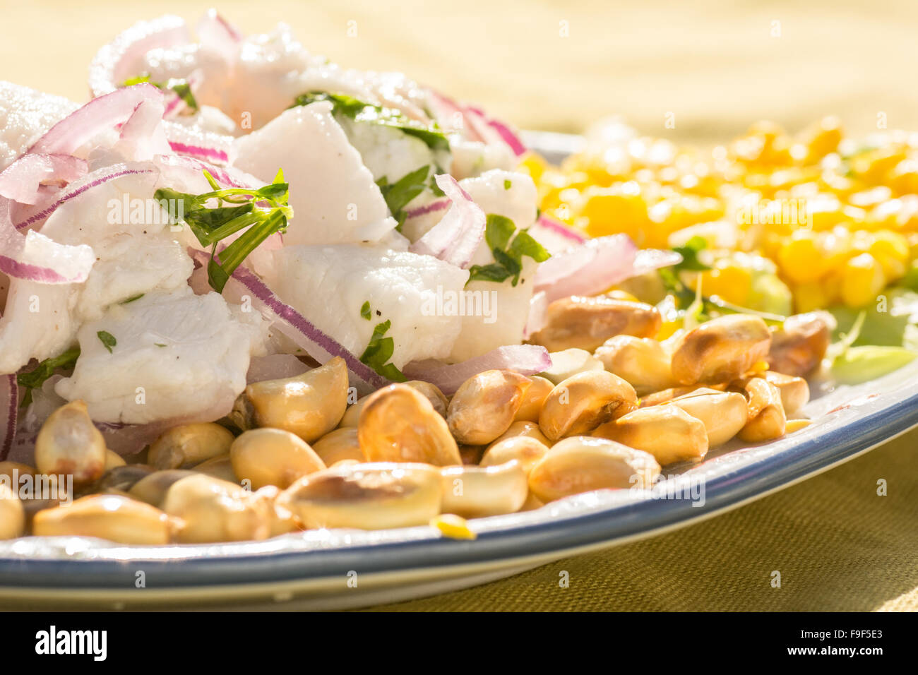 Close-up of typical Peruvian dish of Fish Ceviche with Cancha (toasted maize) Stock Photo