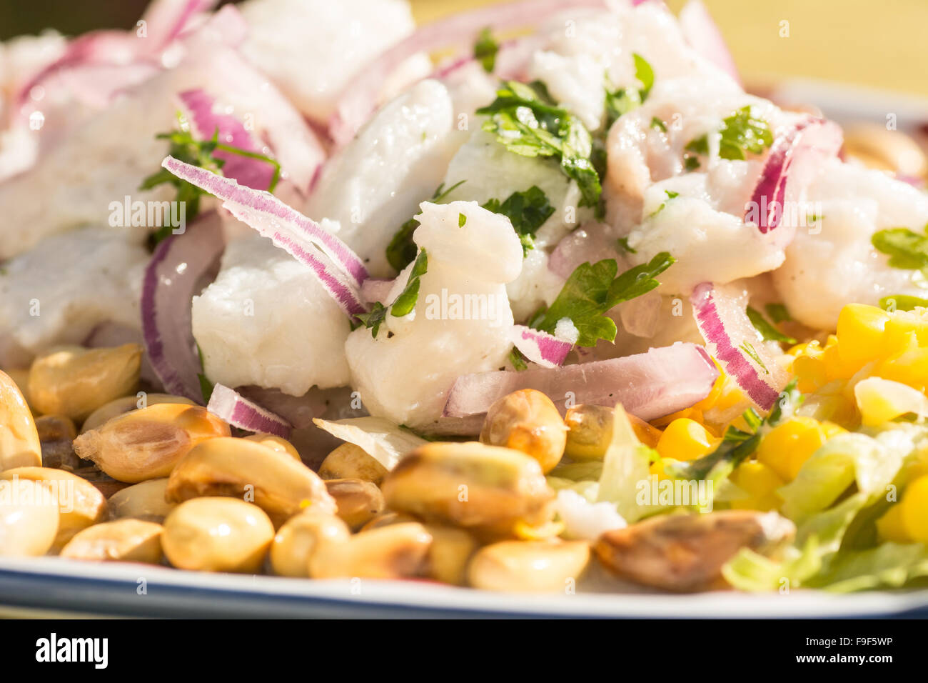 Typical Peruvian dish of Ceviche with Cancha (toasted maize) Stock Photo