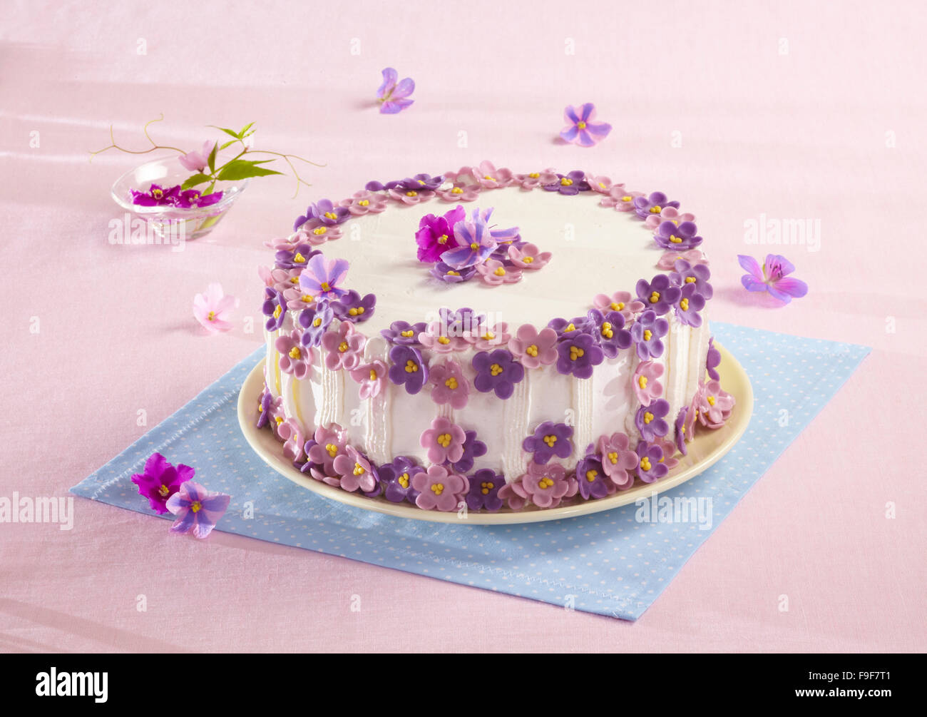 Violet Cake Step By Step Stock Photo Alamy Violet Cake Step By Step Stock Photo Alamy