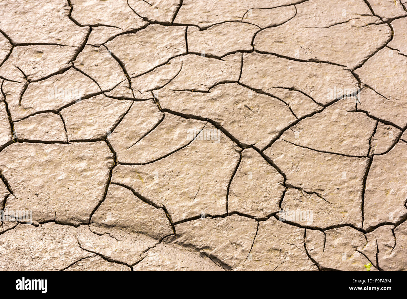Details dry clay soil hi-res stock photography and images - Alamy