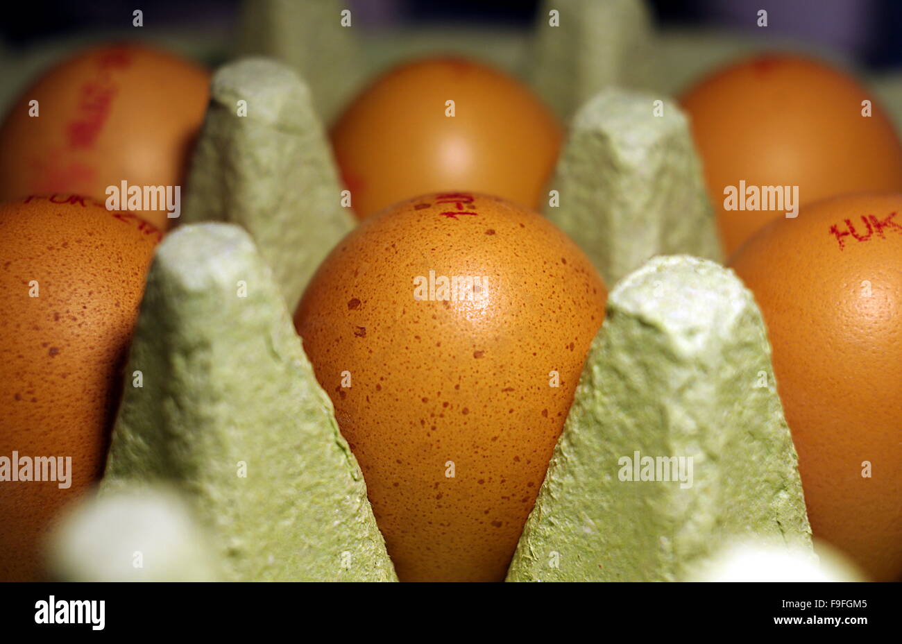 Eggs in egg box with UK quality stamps Stock Photo