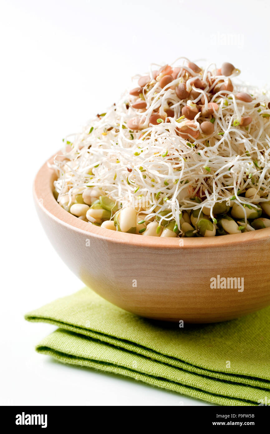 Mung beans and lentil sprouts Stock Photo Alamy