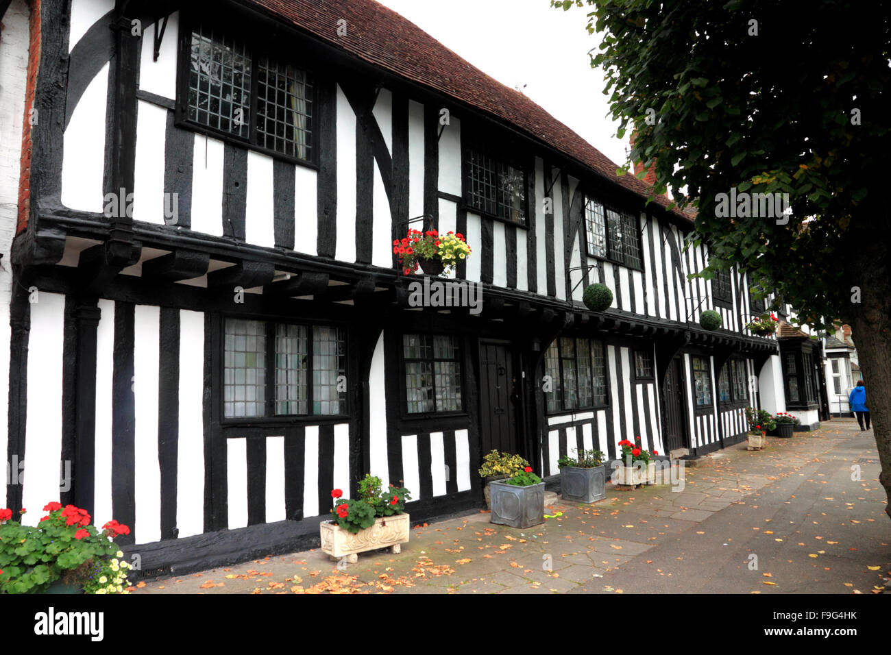 Black And White Half-timbered Cottages At Henley-in-arden, Warwickshire 