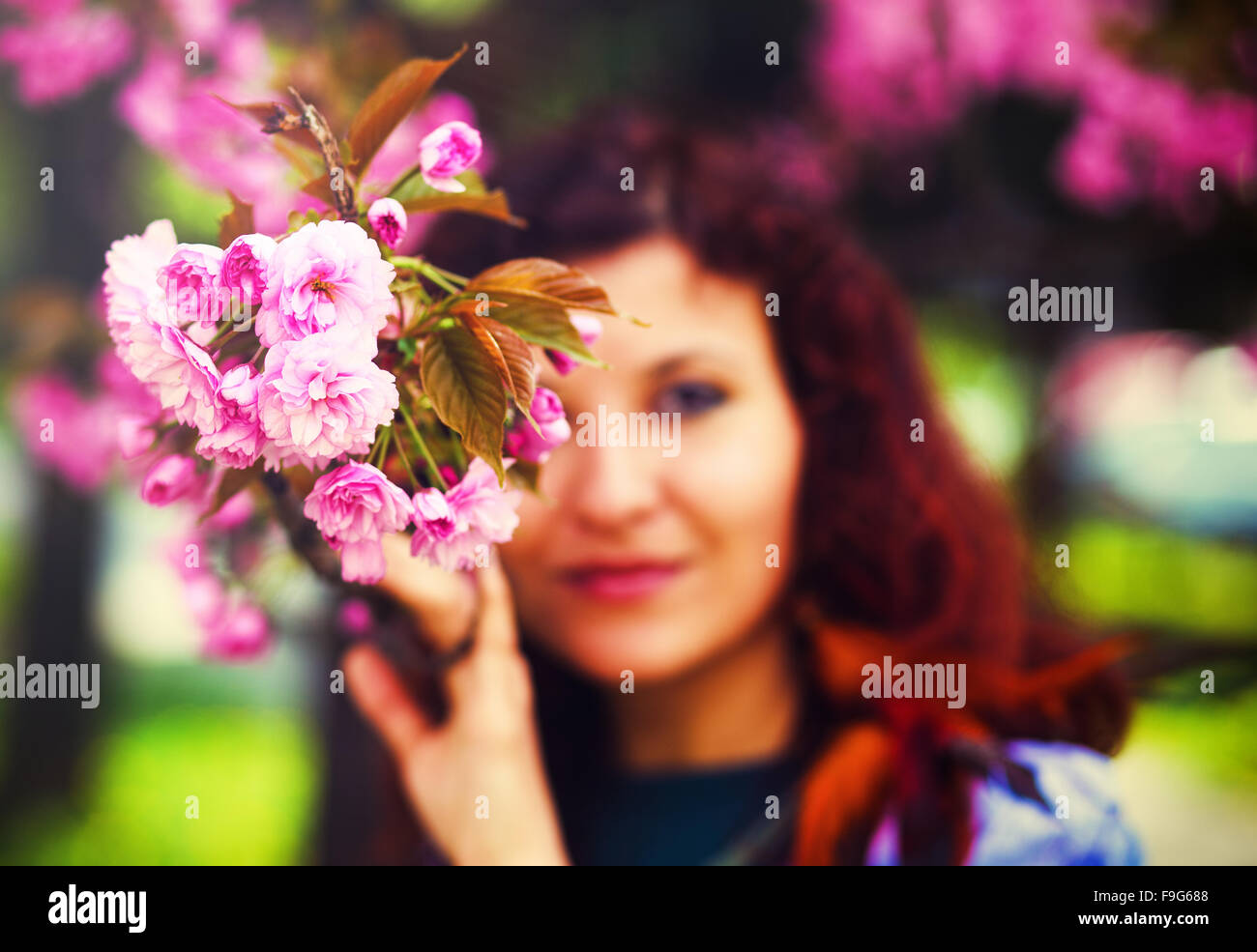 Young woman smelling a beautiful sakura blossom, pink flowers Stock ...