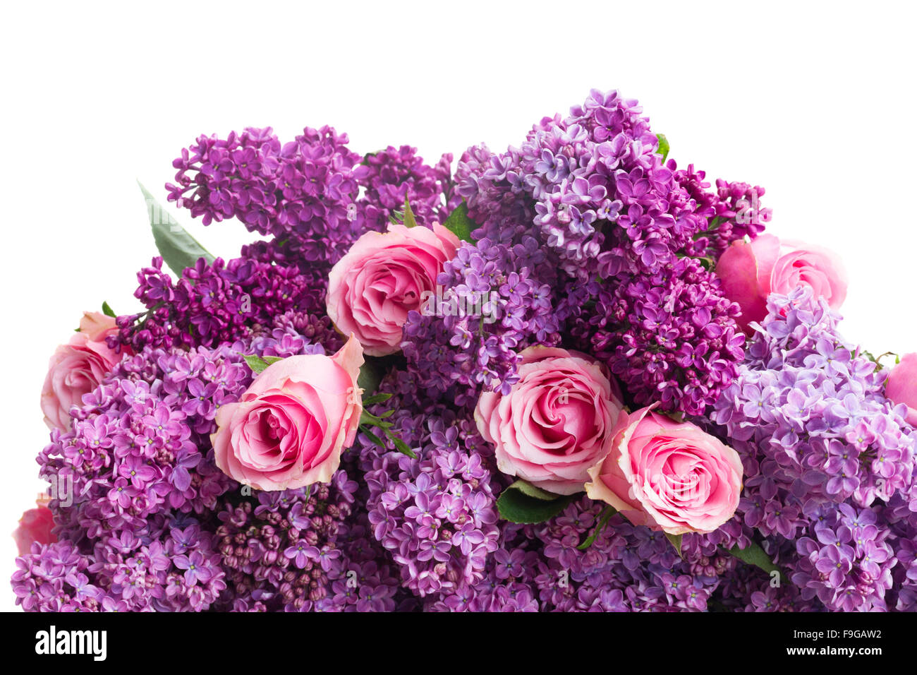 Lilac flowers with roses Stock Photo - Alamy