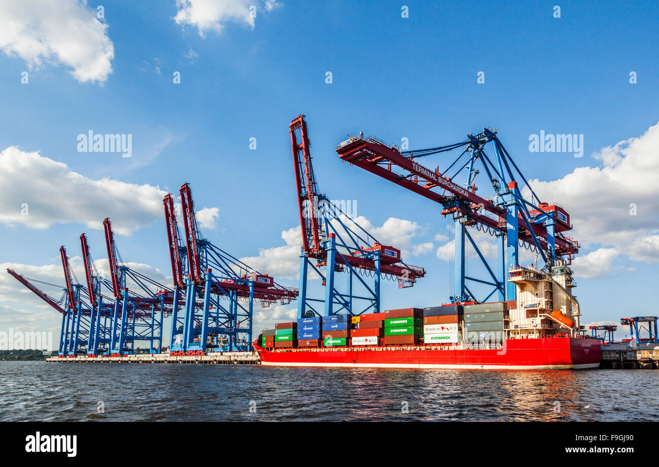 Germany, Free and Hanseatic City of Hamburg, Port of Hamburg, Waltershofer Hafen,  Burchardkai Container terminal Stock Photo