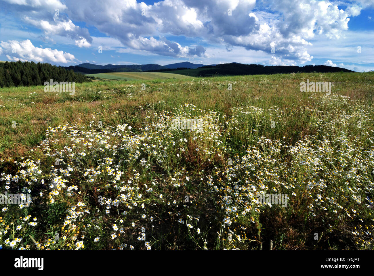 Landscape Stock Photo