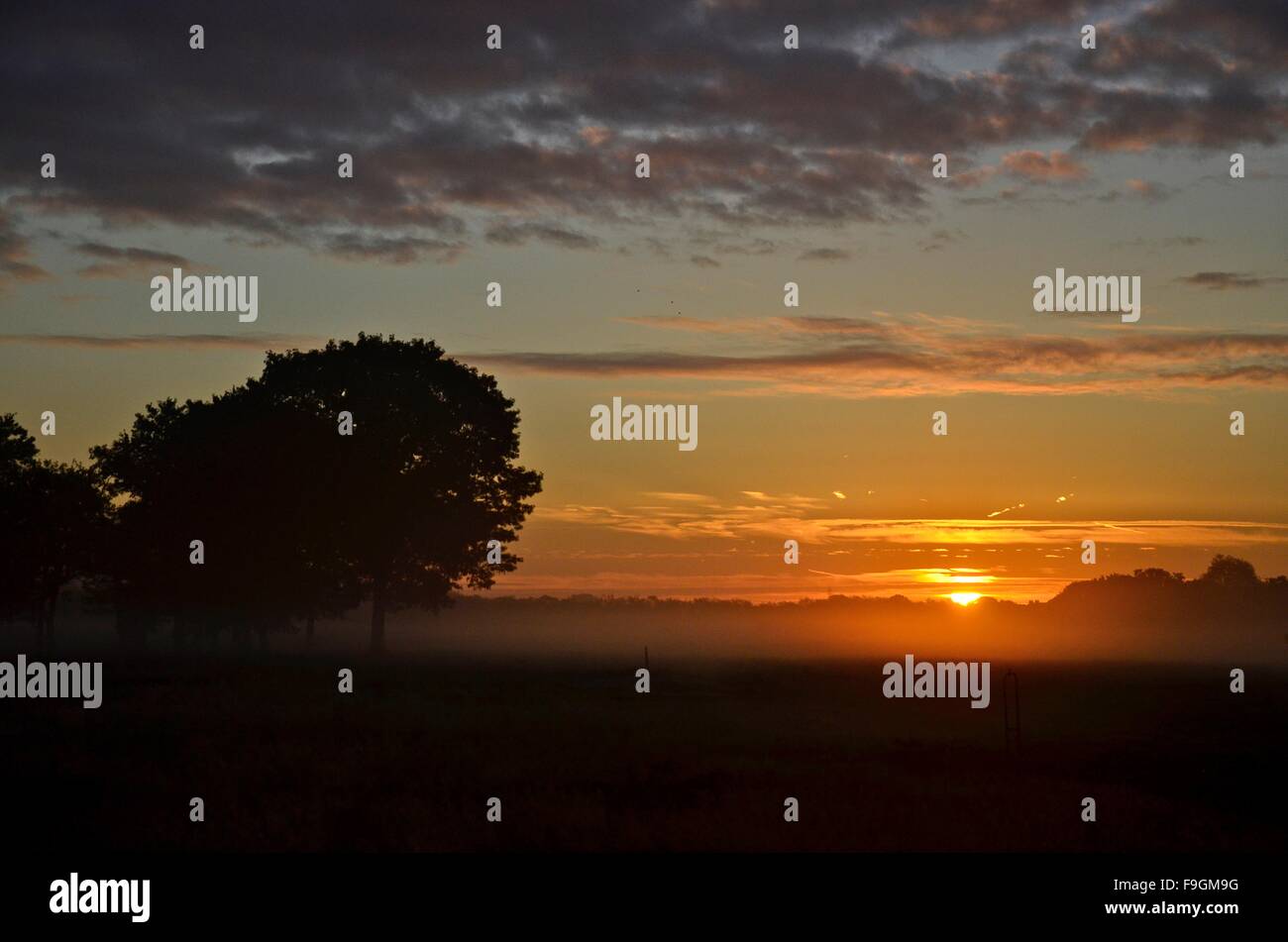 Sunrise over Wanstead Flats, Forest Gate, London, England, UK Stock Photo Alamy