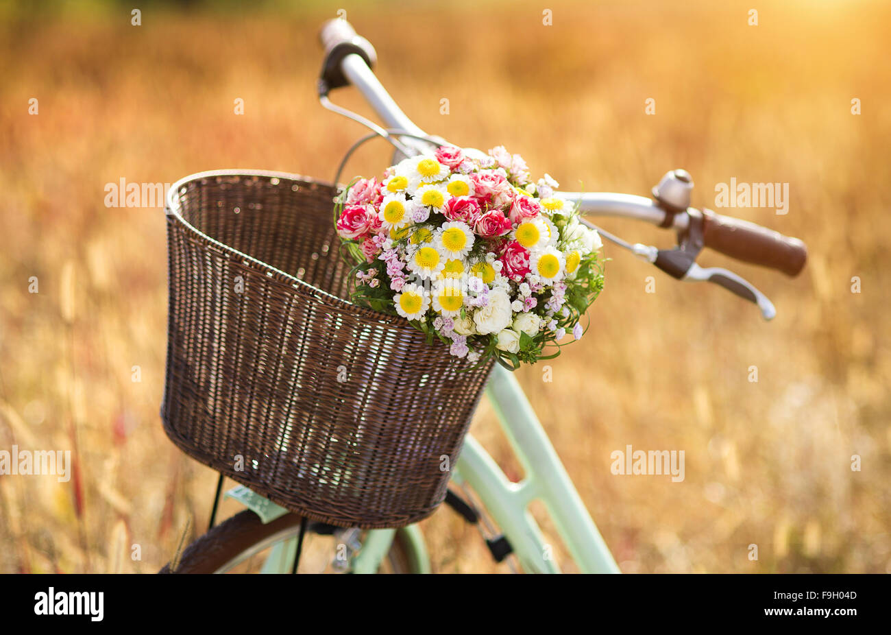 Vintage bicycle with basket full of flowers standing in the field Stock