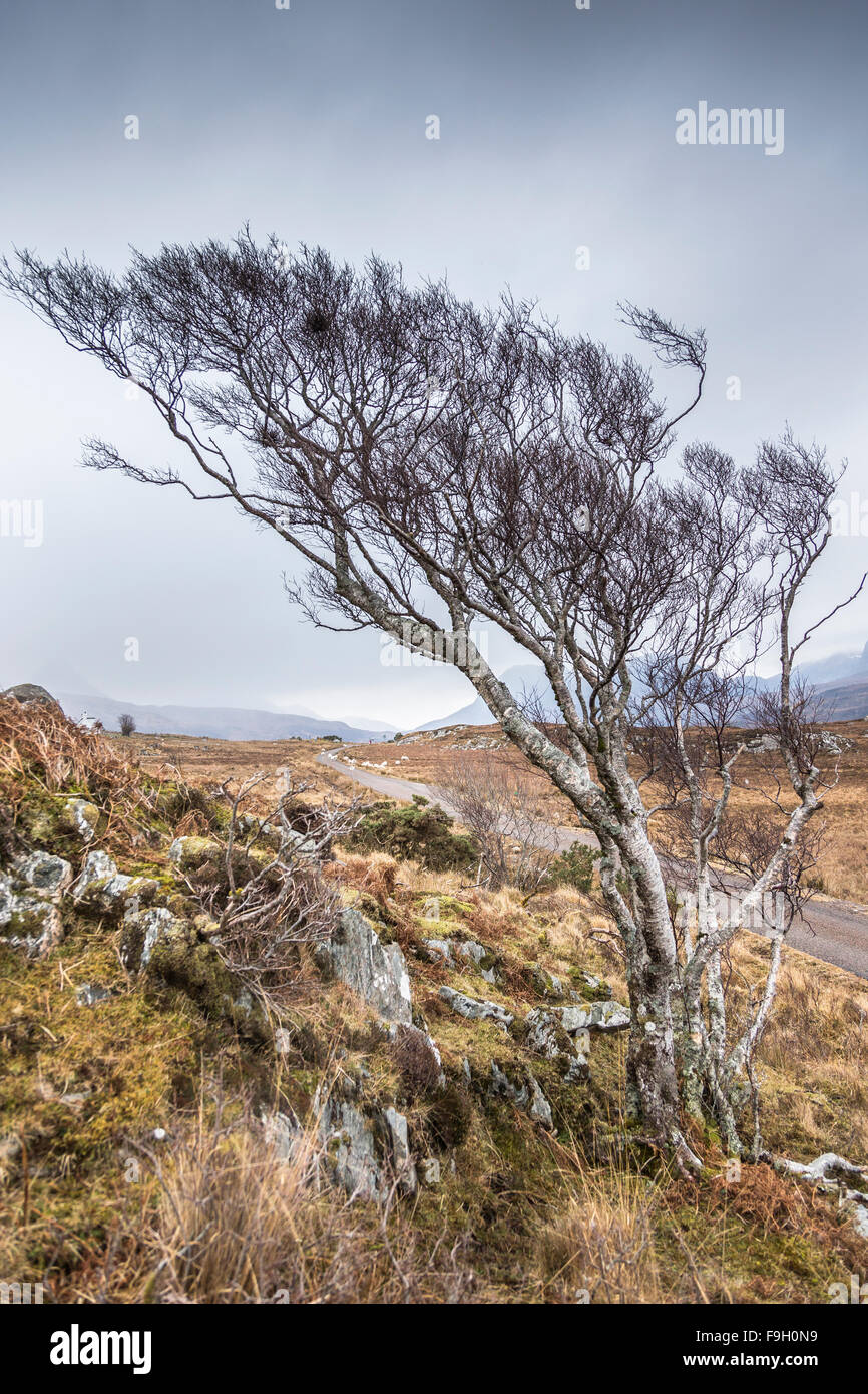 Road to Achiltibuie in the highlands of Scotland. Stock Photo