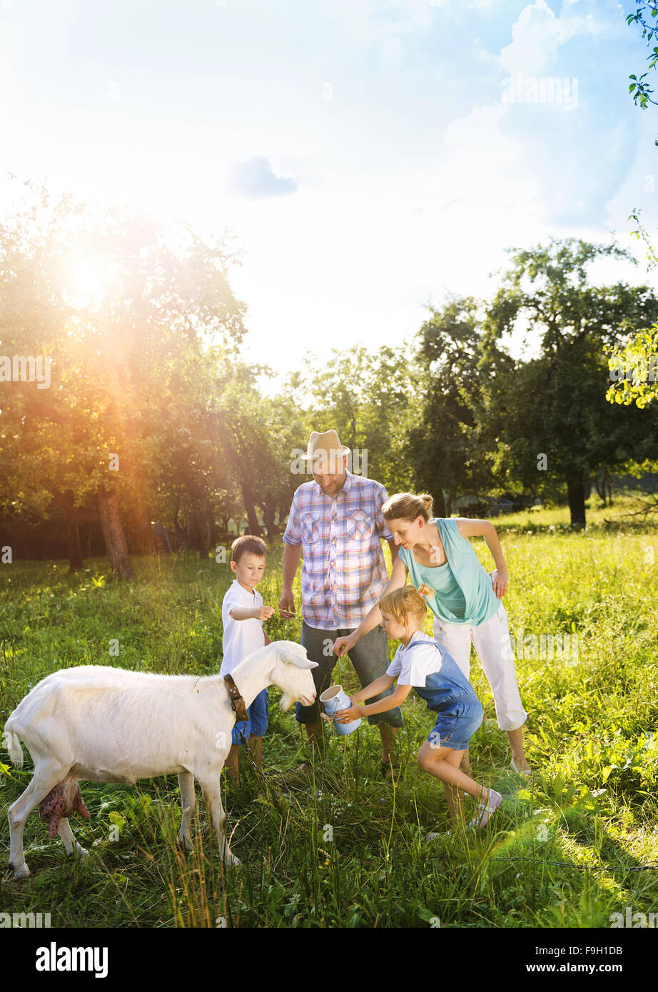 Happy young family spending time together outside in green nature with a goat. Stock Photo