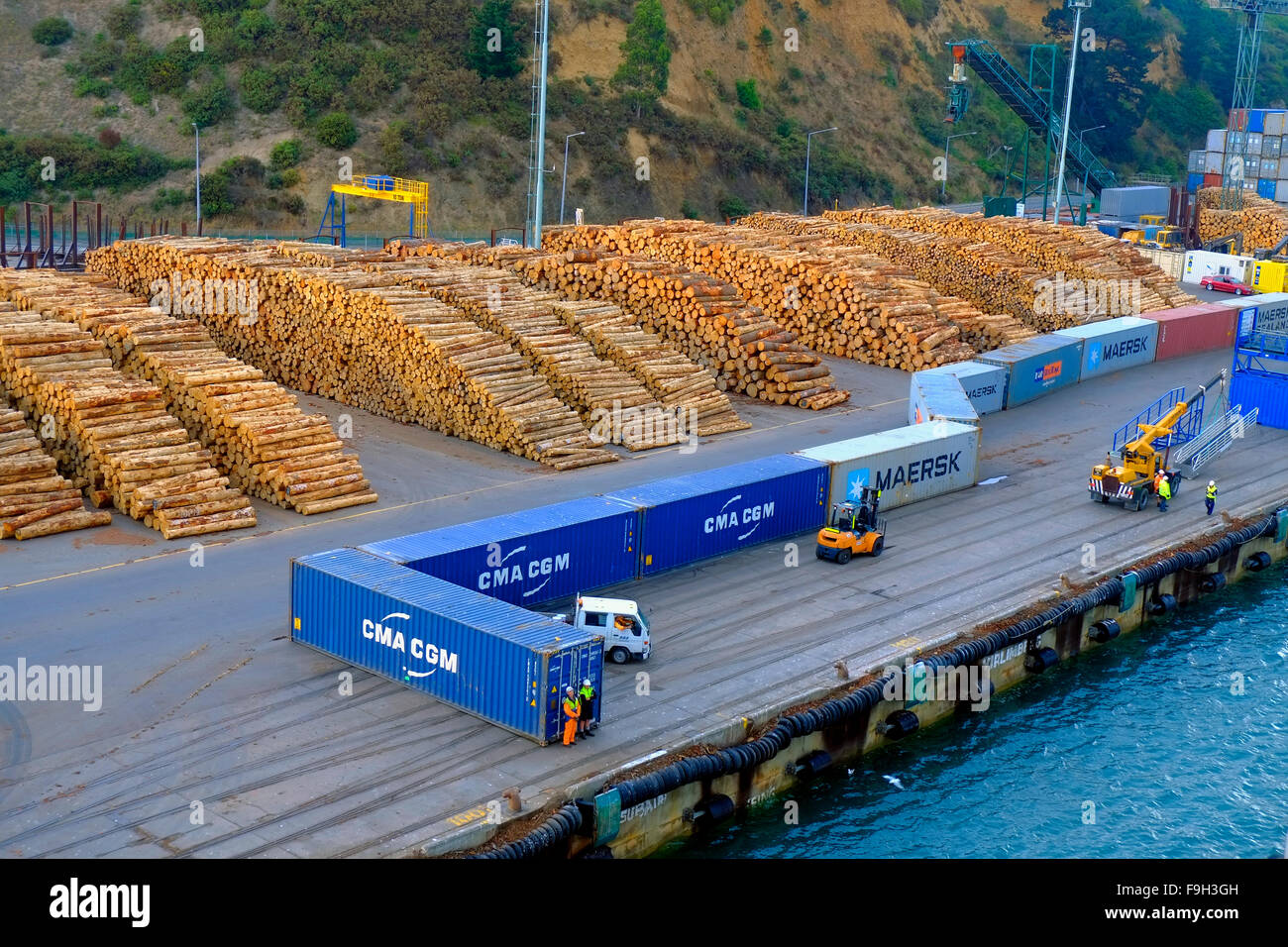 Logs Stacked for Shipping Transport Port Chalmers New Zealand NZ South Island Stock Photo