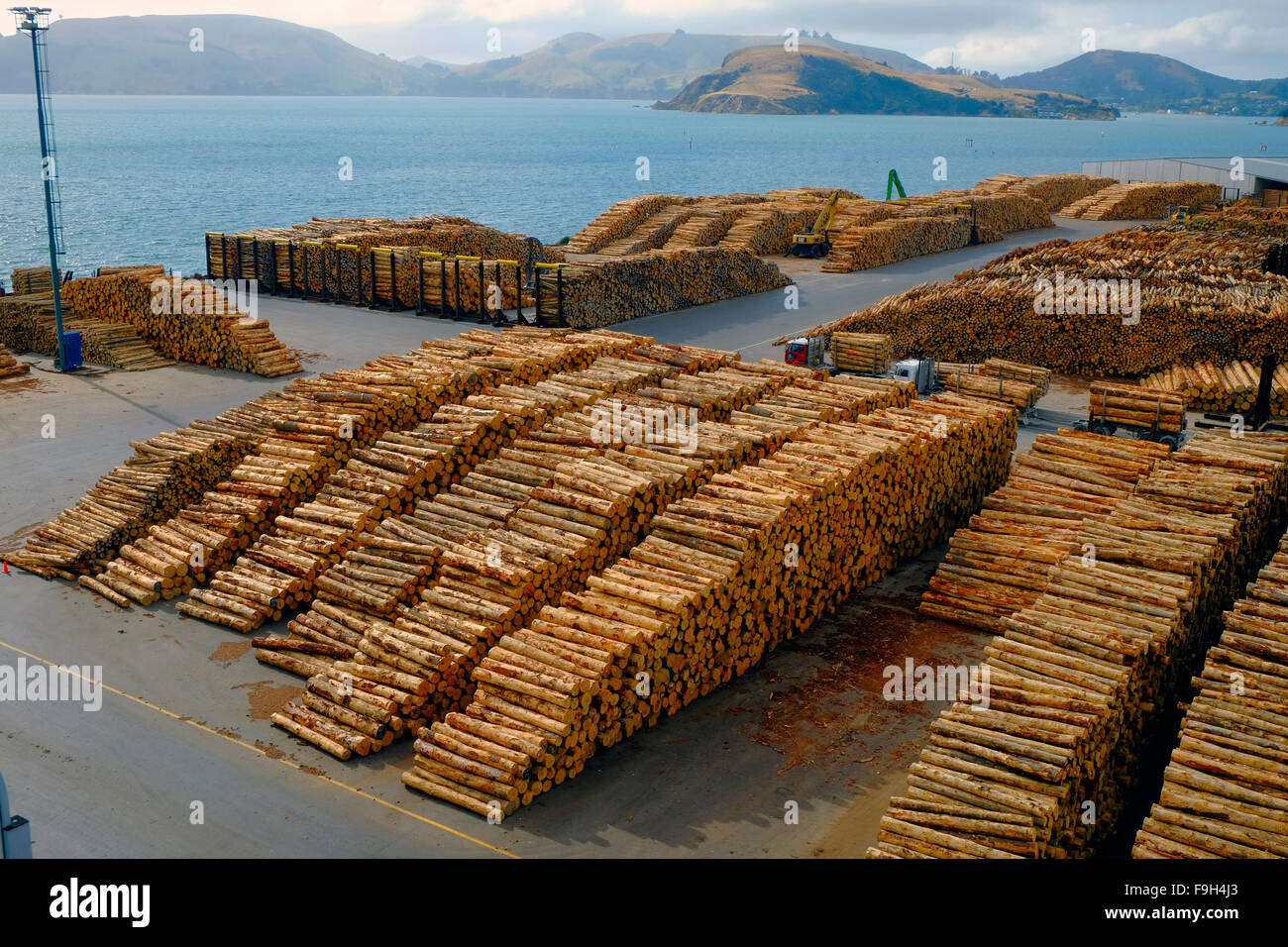 Logs Stacked for Shipping Transport Port Chalmers New Zealand NZ South Island Stock Photo