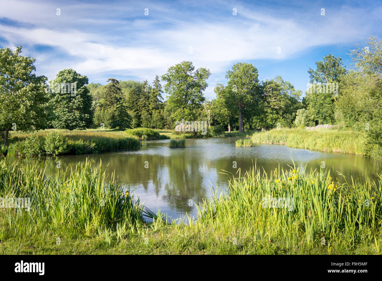 A scenic lake under a blue cloudy sky Stock Photo - Alamy