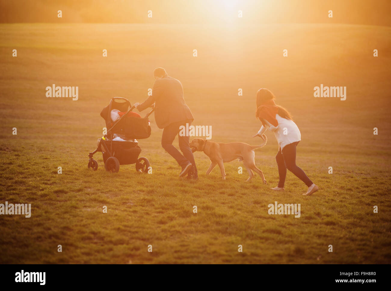 Happy young family on a walk outside on a green meadow at the sunset. Stock Photo
