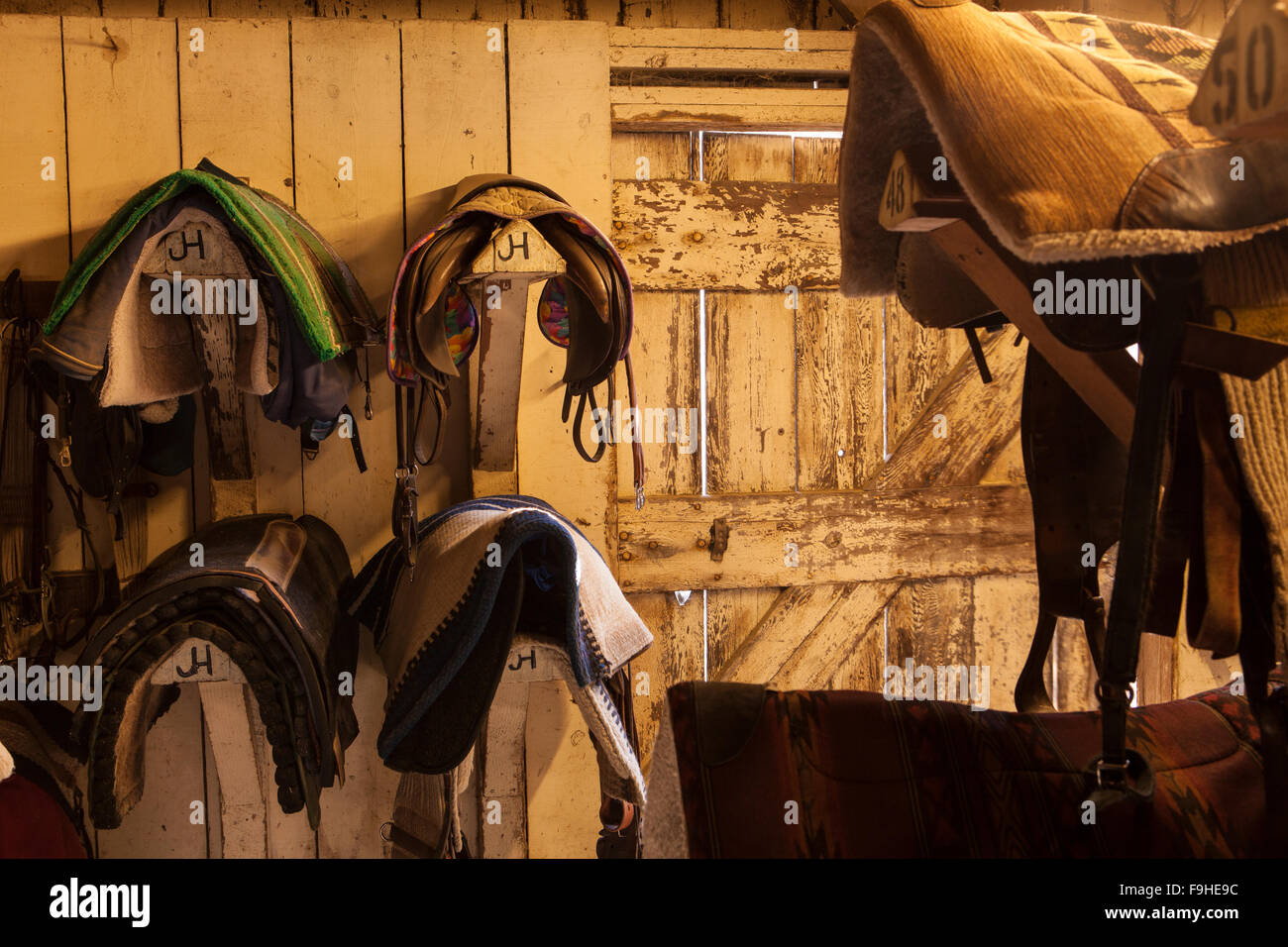 Saddles And Saddle Blankets In Tack Barn Alisal Guest Ranch Stock