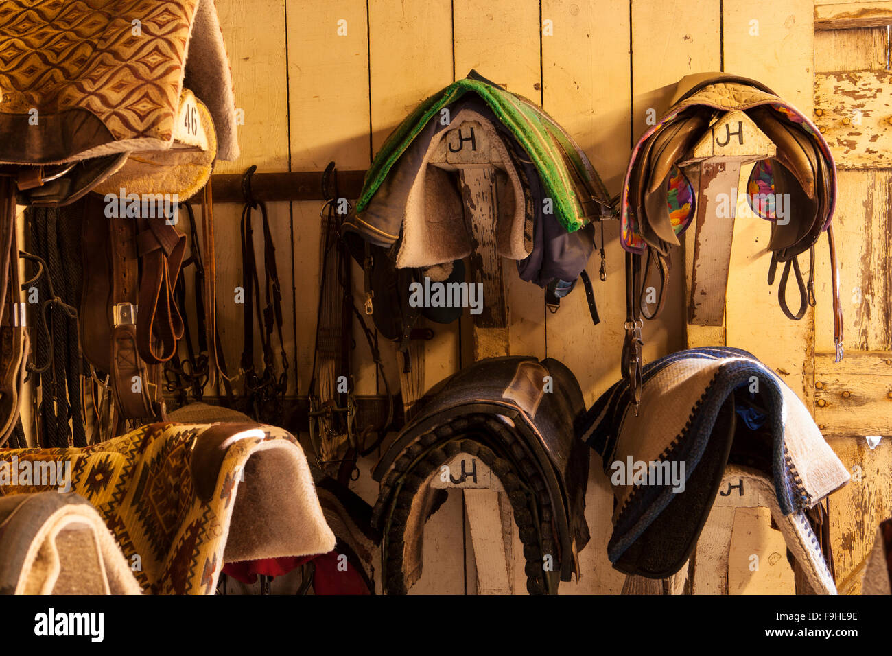 Saddles And Saddle Blankets In Tack Barn Alisal Guest Ranch Stock
