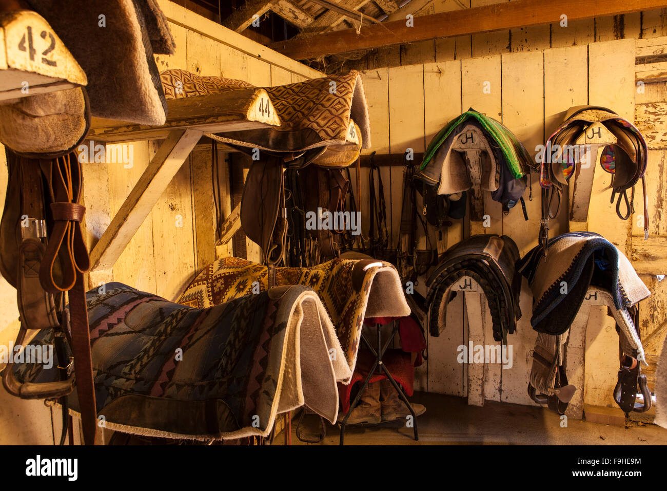 saddles and saddle blankets in tack barn, Alisal Guest Ranch, Solvang