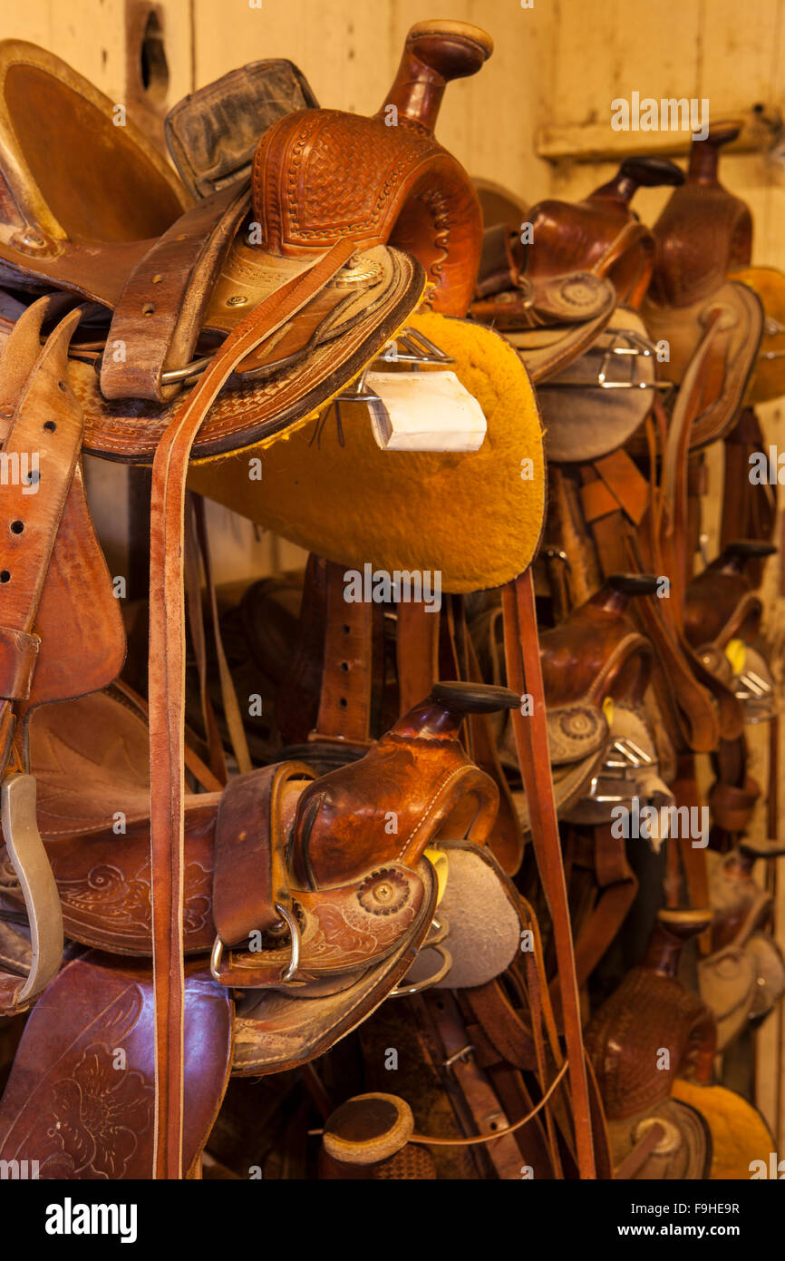 saddles in tack barn, Alisal Guest Ranch, Solvang, California Stock Photo