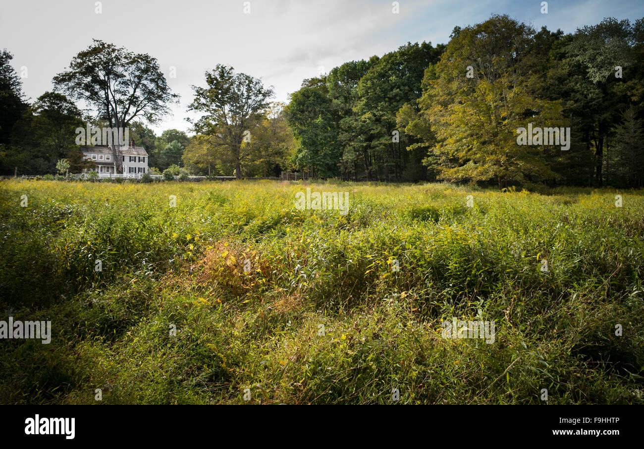 REDDING CONNECTICUT 06896 USA Stock Photo Alamy