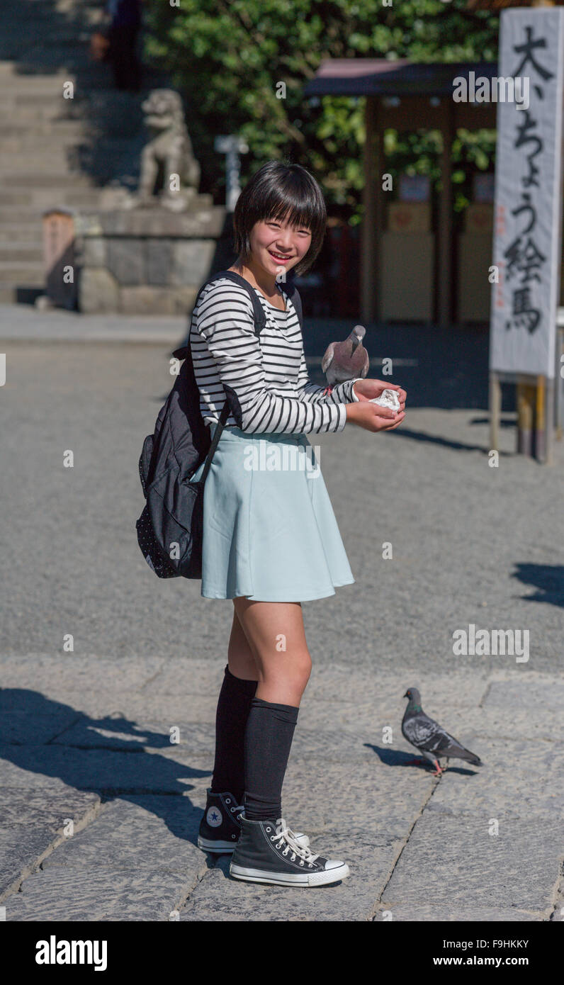 HACHIMAN-GU SHRINE (1063 AD)     KAMAKURA       JAPAN Stock Photo