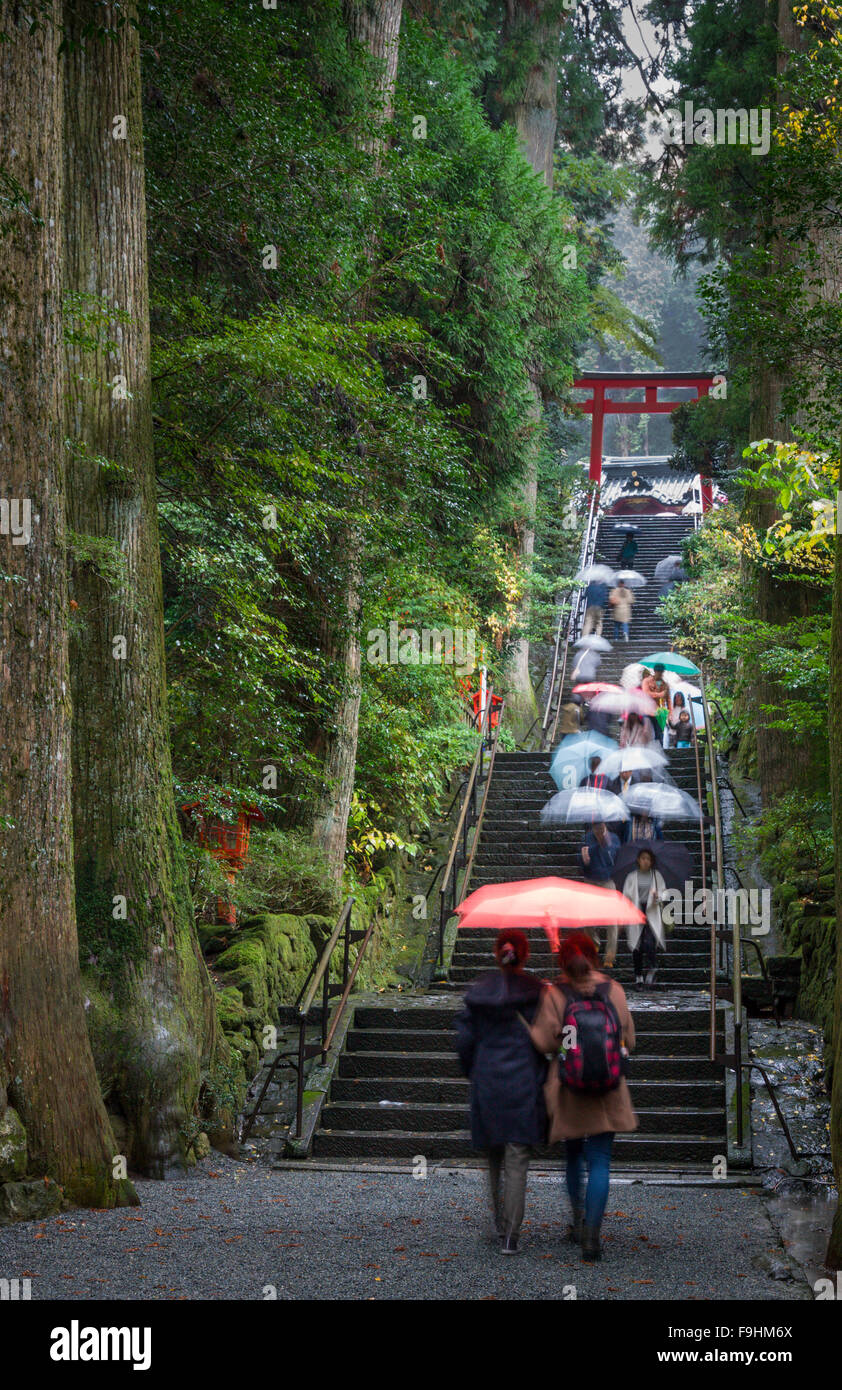 PILGRIMS ASCENDING STEPS TO SHRINE IN THE RAIN, JINJA SHRINE [757 AD] HAKONE  JAPAN Stock Photo