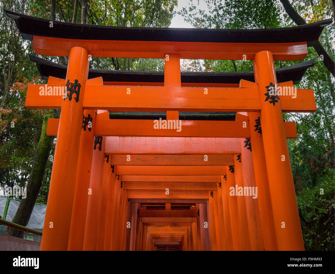 fushimi inary temple kyoto japan Stock Photo Alamy