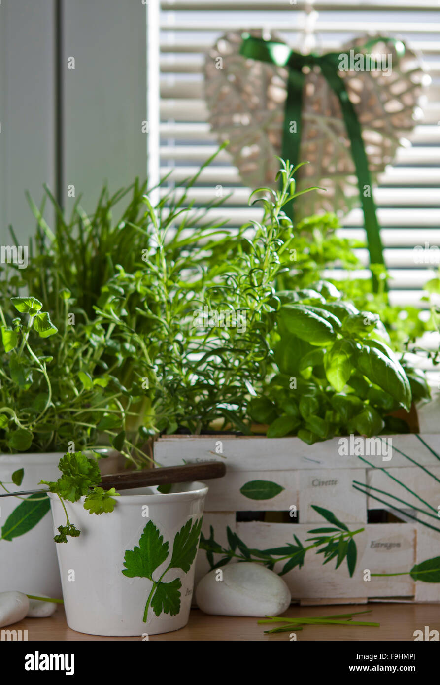 decoupage motive with herbs Stock Photo