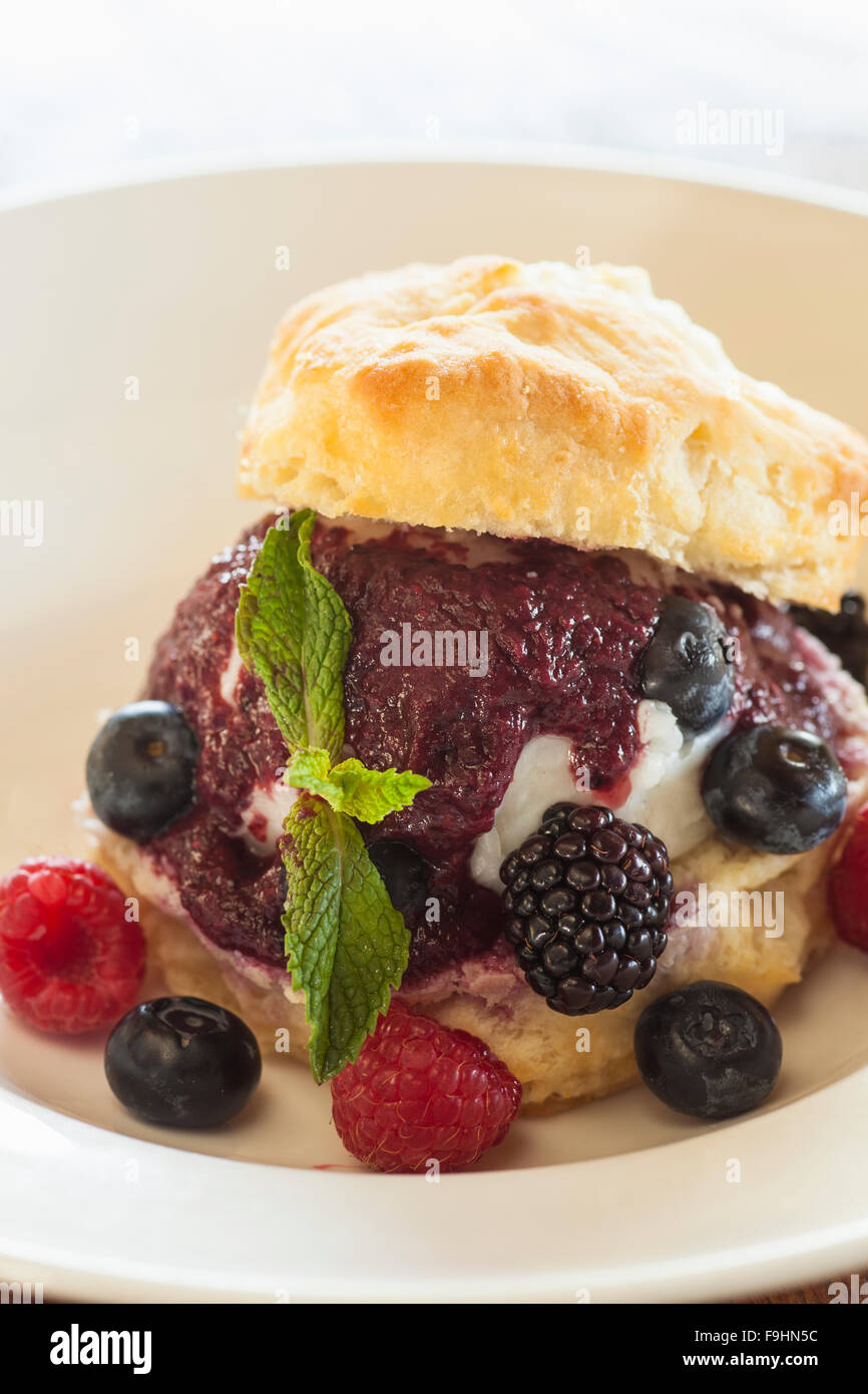mixed berry shortcake, Succulent Cafe, Solvang, California Stock Photo