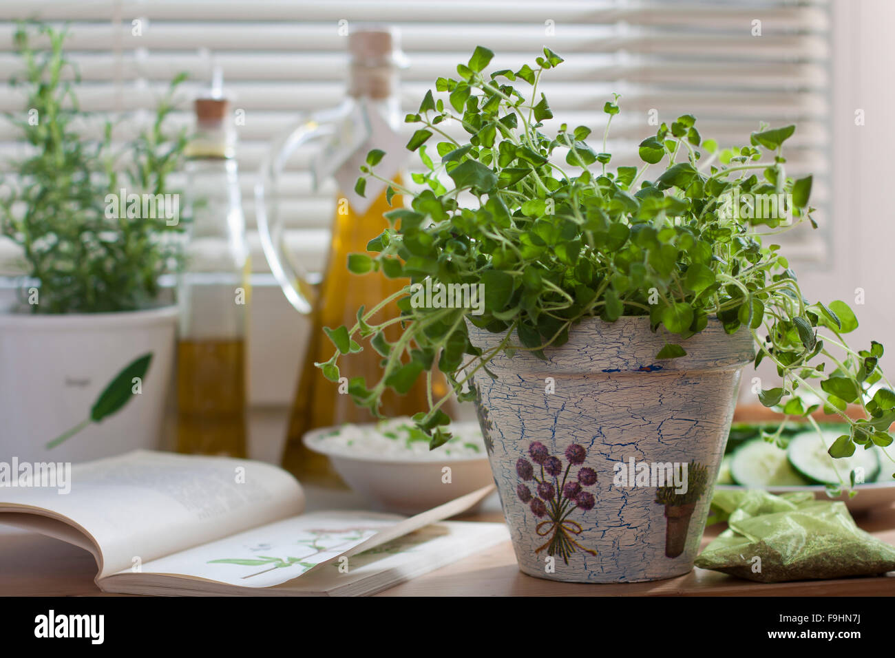 vegetable lunch, thyme and olive oil Stock Photo Alamy