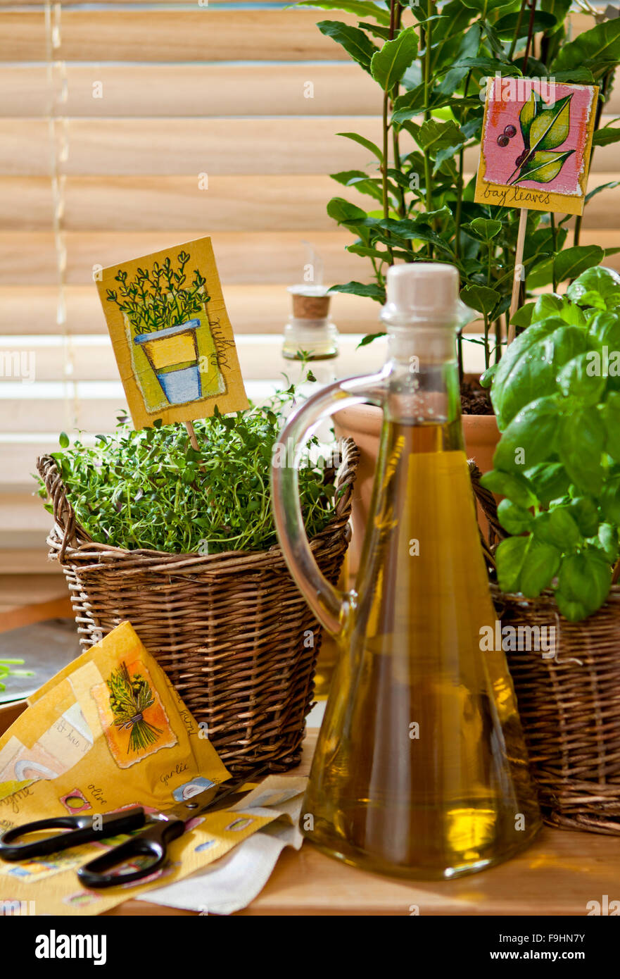 decoupaged herb tags equipment Stock Photo Alamy