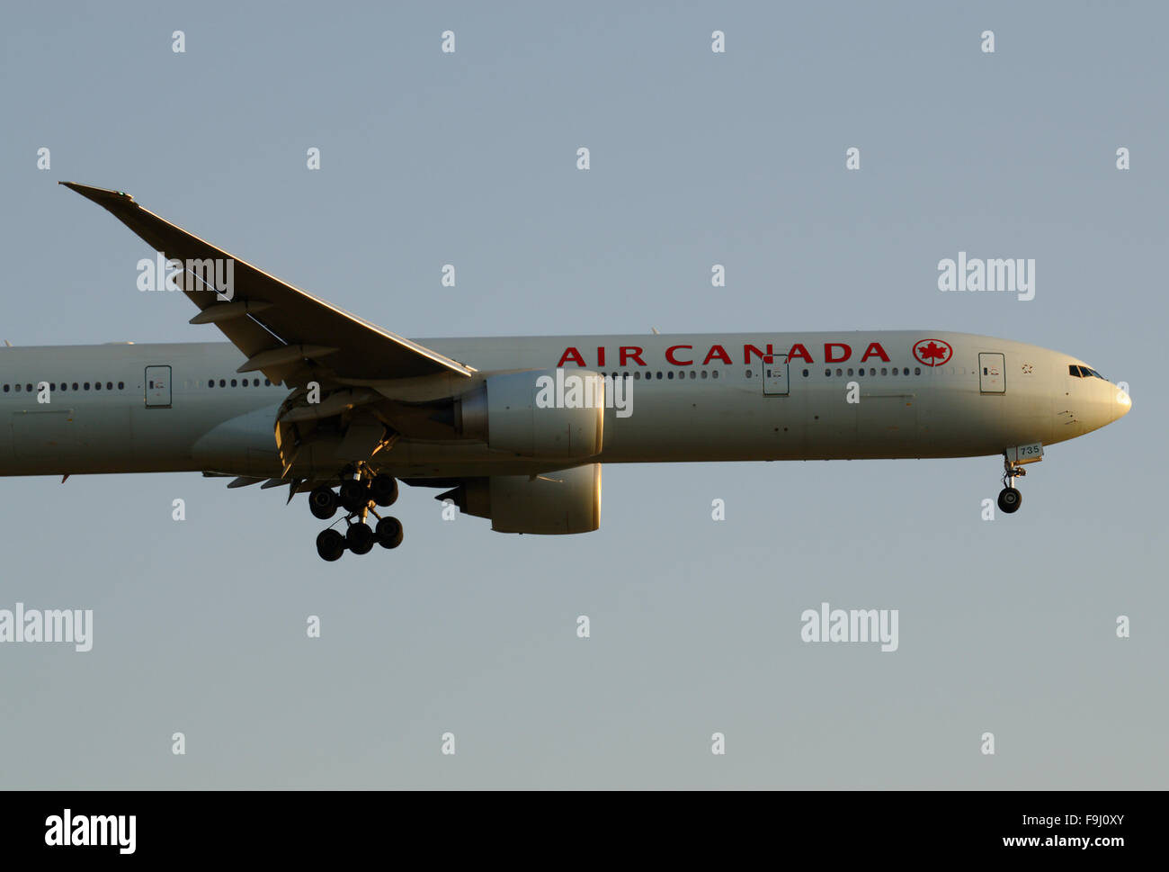 flightfactor boeing 777 worldliner professional v1.7 flightfactor boeing 777 worldliner professional v1.7
