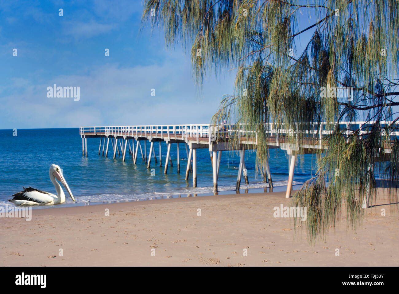 pretty  Hervey Bay in the summer time Stock Photo