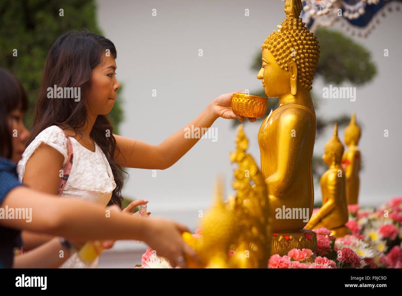 Bathing buddha hires stock photography and images Alamy