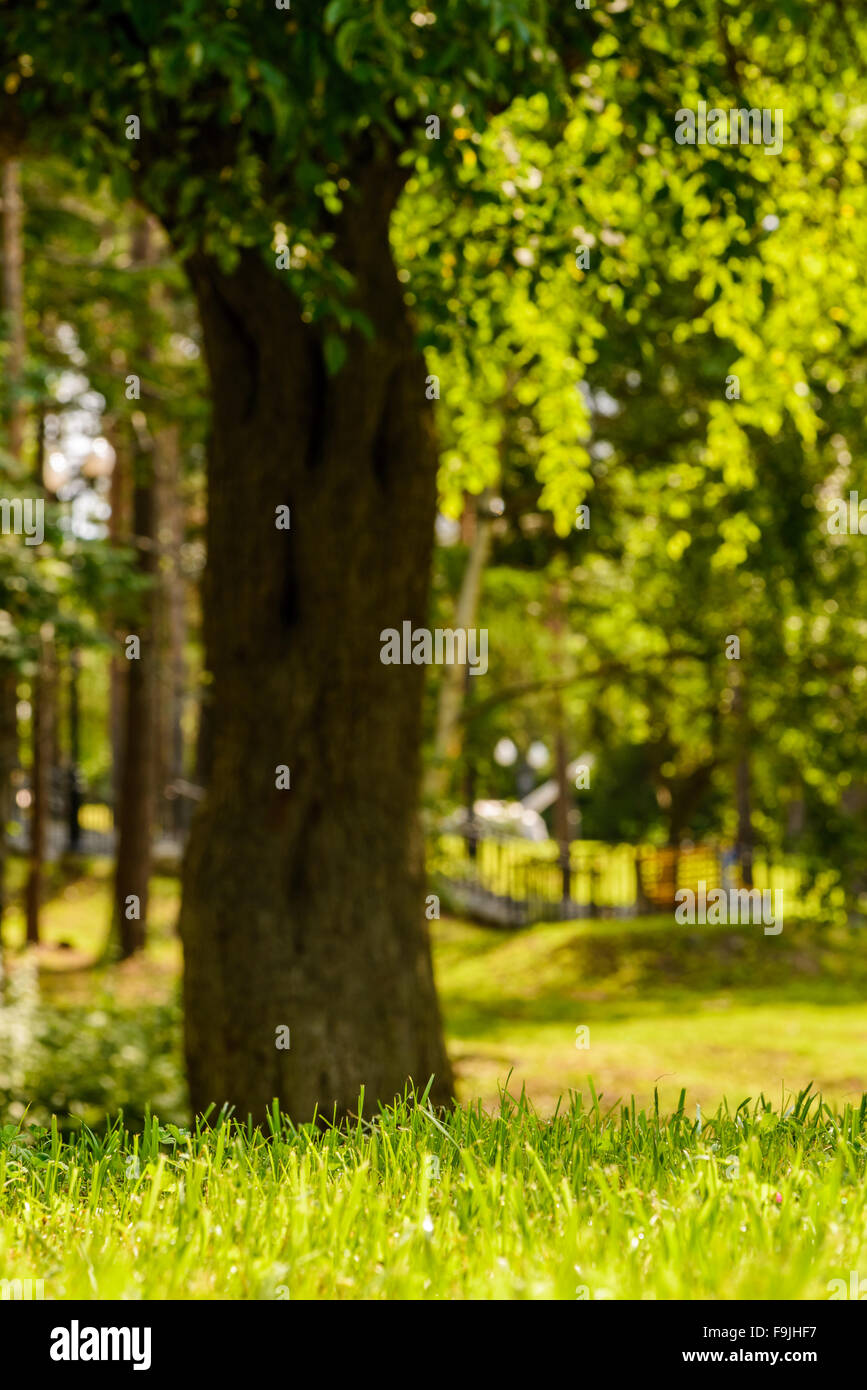 Big green park hi-res stock photography and images - Alamy