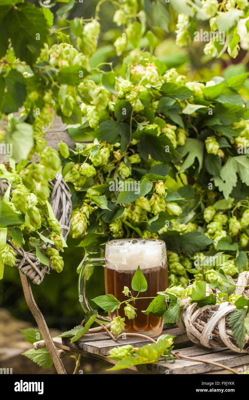 hops beer deco Stock Photo Alamy