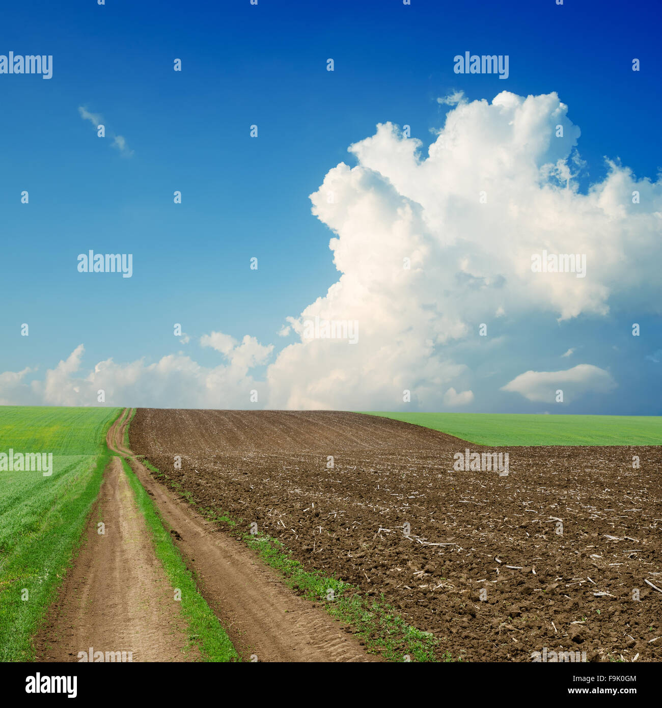 dirty road near green and black field under cloudy sky Stock Photo - Alamy