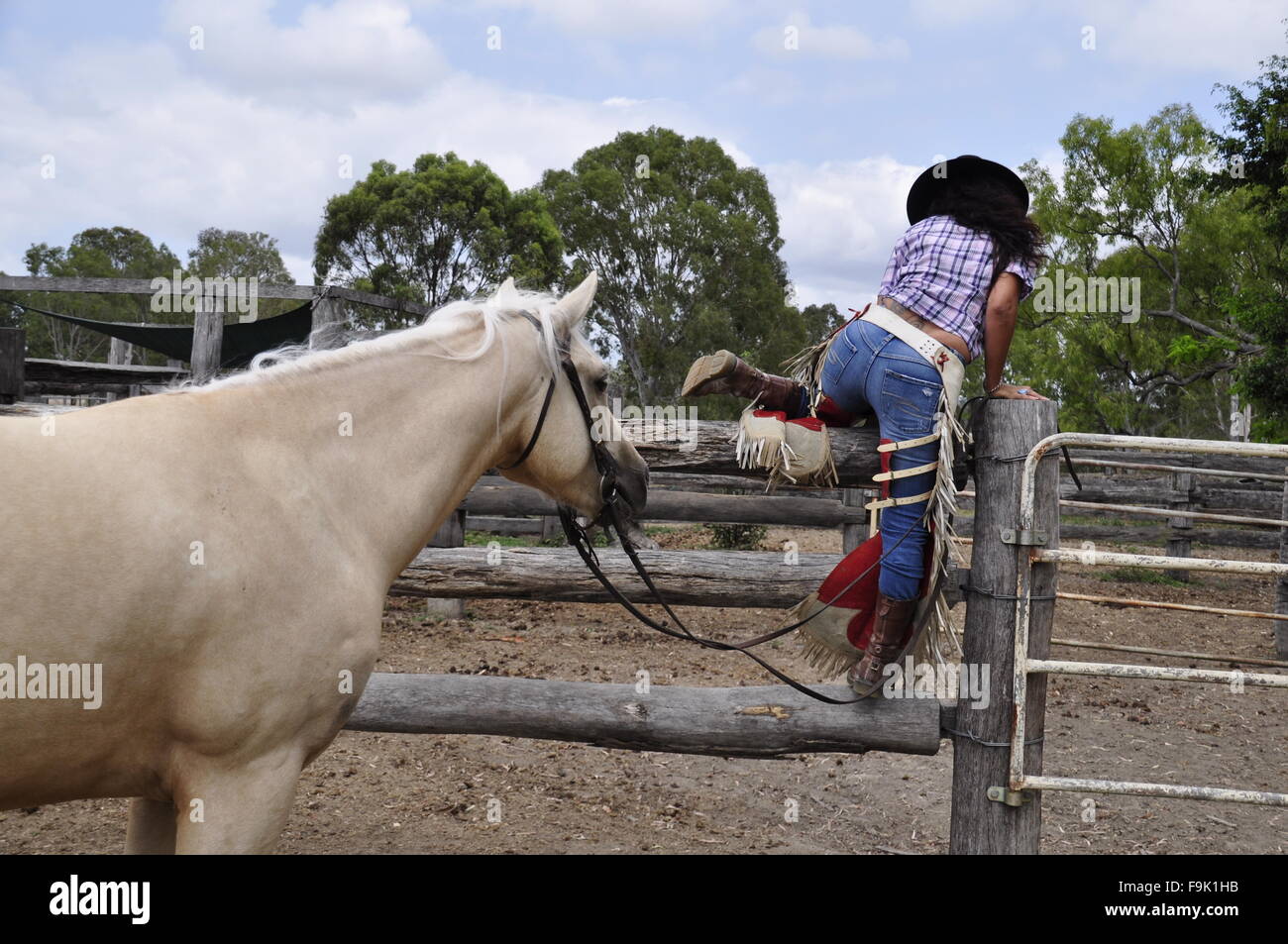 COWGIRL IN TIGHT JEANS CLIMBING FENCE Stock Photo - Alamy