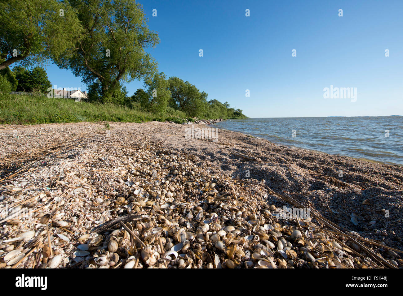 beach at vente, vente cape (ventes ragas), nemunas delta, curonian lagoon (kursiu marios), lithuania Stock Photo