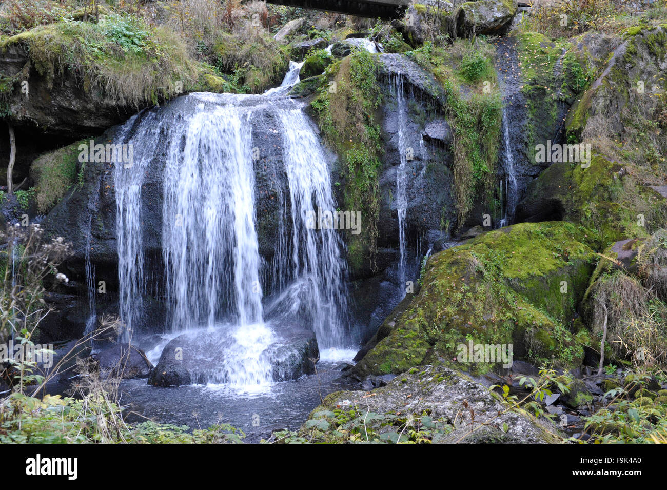 triberg waterfalls, triberg im schwarzwald, badenwürttemberg, germany Stock Photo Alamy