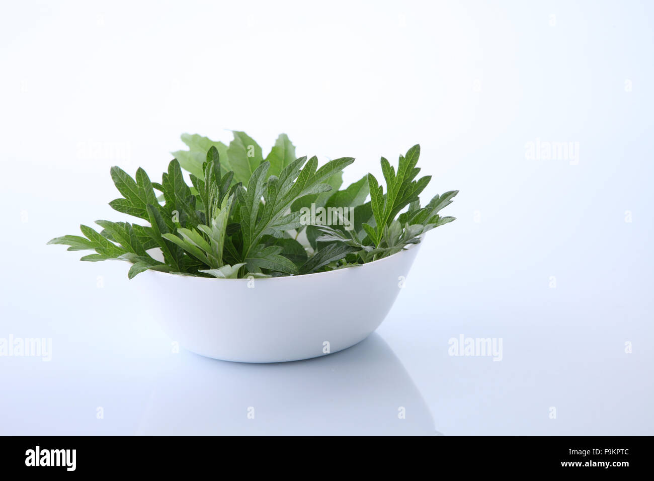 Mugwort Herbal and curry leaves Stock Photo