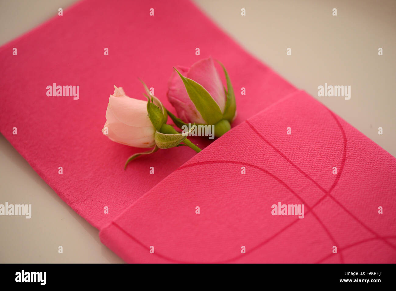 Romantic Table Setting Two Roses High Resolution Stock Photography and ...