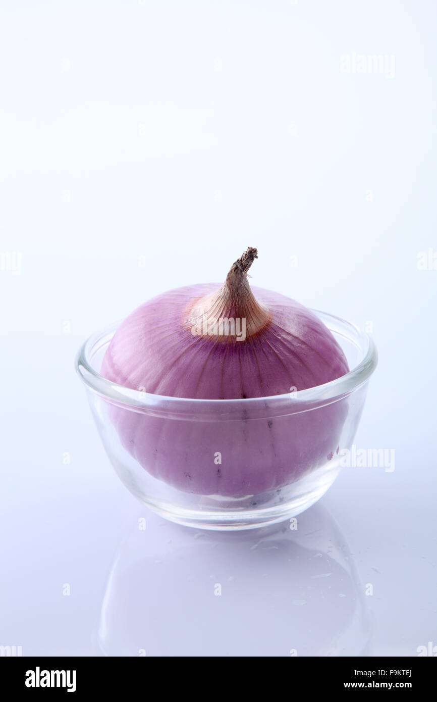 onion on the white background Stock Photo - Alamy