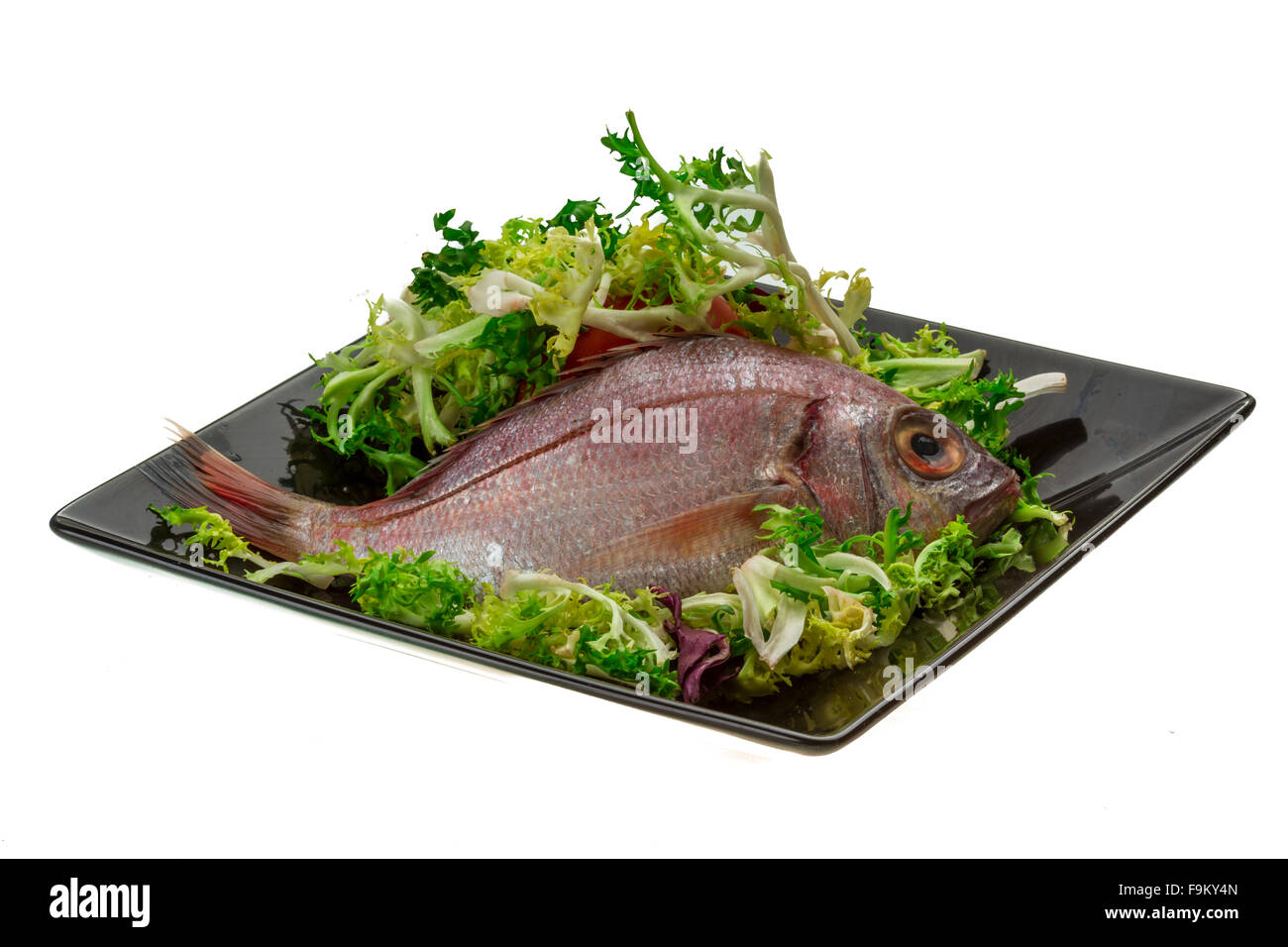 Barred Surfperch - Pier Fishing In California - Foto 7