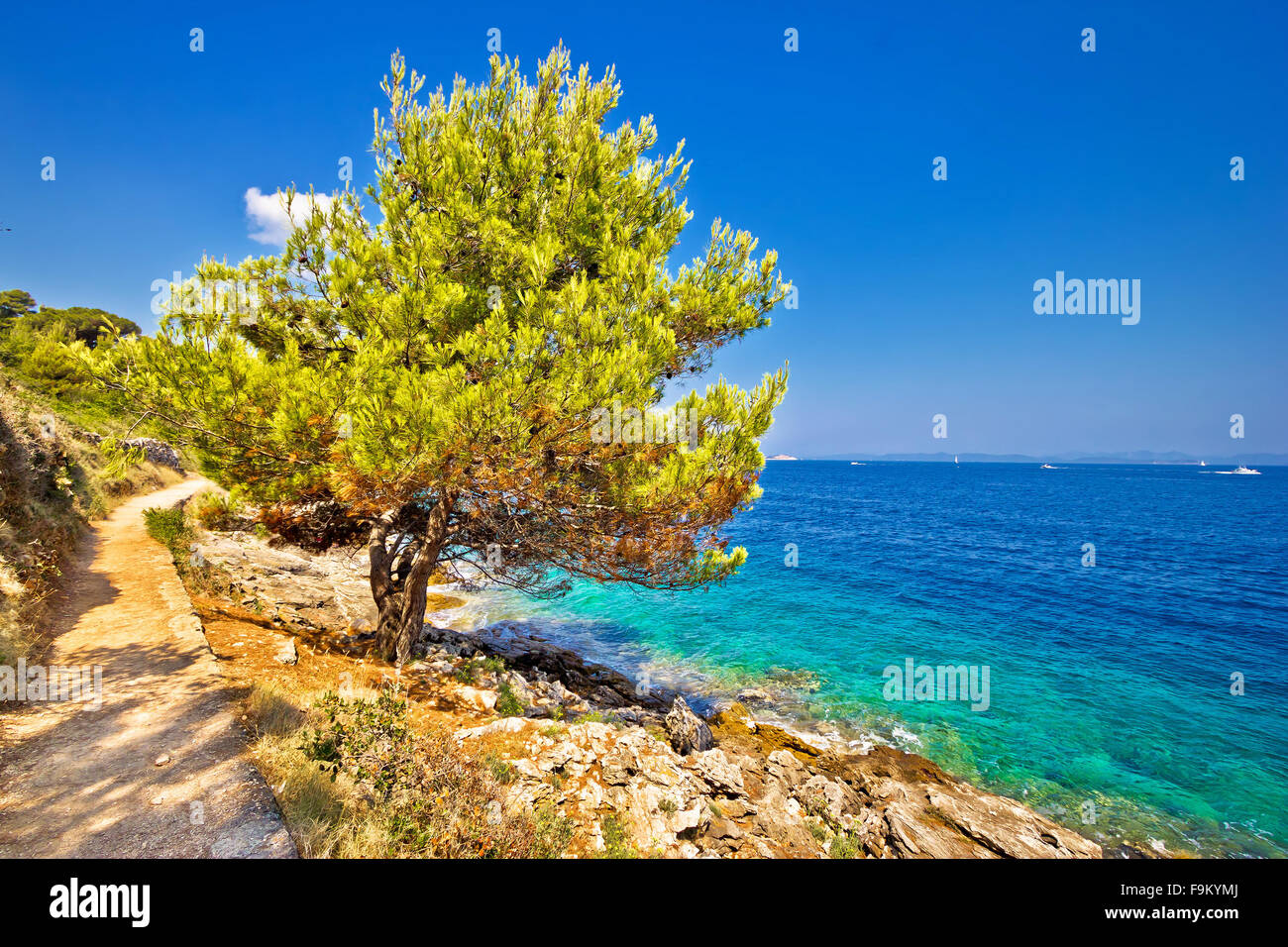 Scenic coast of Dugi otok island in Croatia Stock Photo