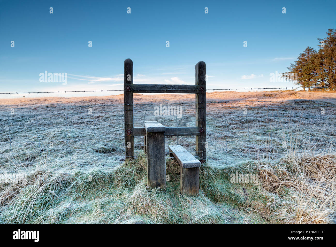 A frosty stile over a barbed wire fence on a cold winter morning on Bodmin Moor in Cornwall Stock Photo