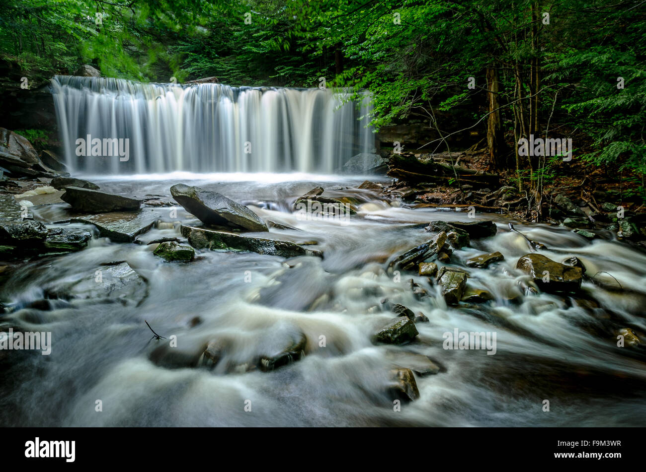 Oneida Falls in Ricketts Glen, Pennsylvania Stock Photo