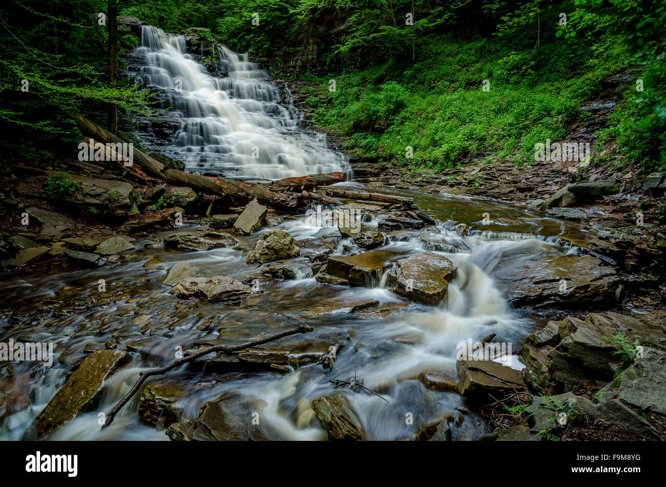 Waterfall at Ricketts Glen, Pennsylvania Stock Photo