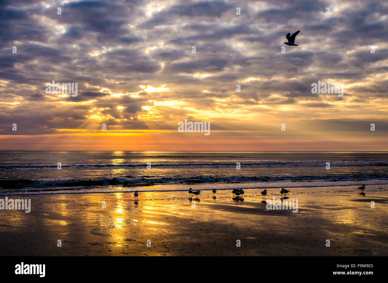 Sunrise at Sea Camp Beach at Cumberland Island, Georgia Stock Photo