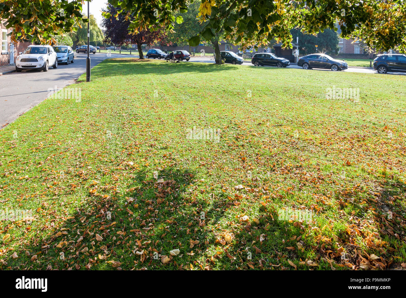 Village greens hires stock photography and images Alamy